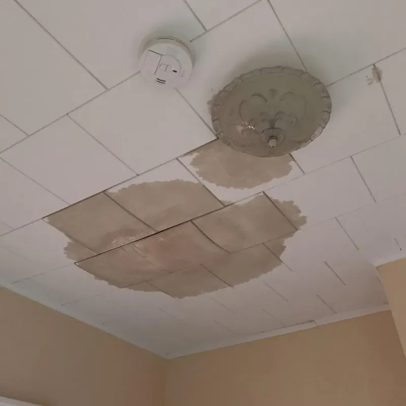Ceiling Water Damage Repair in Salmon Brook, CT