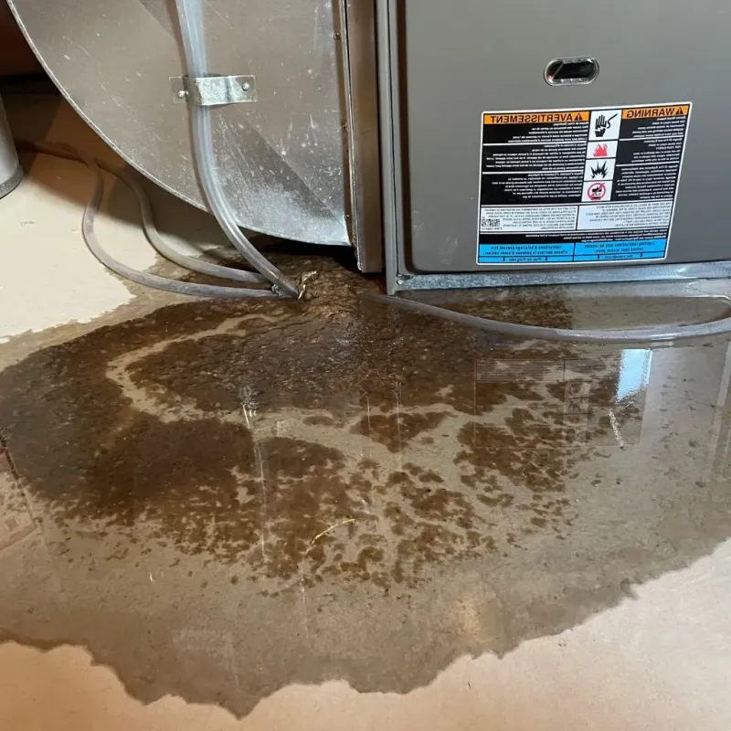 Pipe Burst and Leak Restoration in Salmon Brook, CT